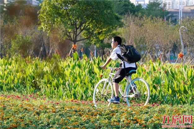 用不了多久，你就可以骑着自行车穿梭在碧湖、四季花海、九十九湾——九房网