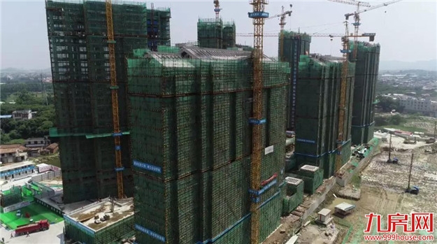 龙文“安得广”最新进展!两个分项目主体楼均已封顶——九房网 龙文“安得广”最新进展!两个分项目主体楼均已封顶——九房网