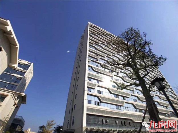 繁花似锦 归家富邦——九房网 繁花似锦 归家富邦——九房网