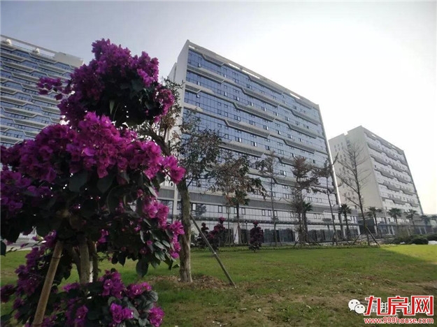 繁花似锦 归家富邦——九房网 繁花似锦 归家富邦——九房网