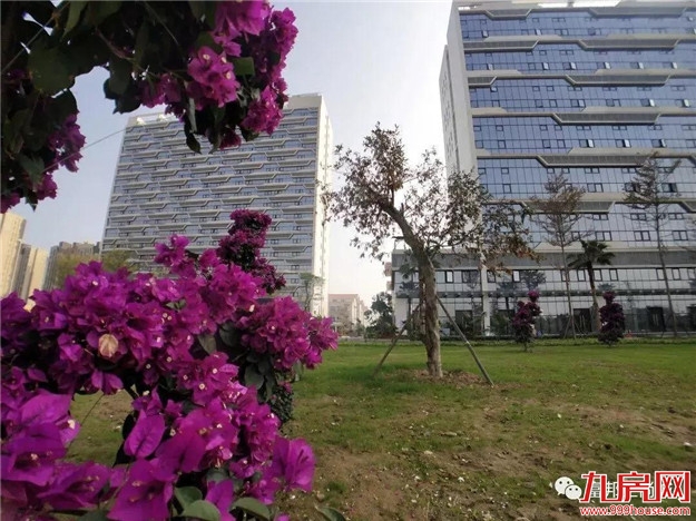 繁花似锦 归家富邦——九房网 繁花似锦 归家富邦——九房网