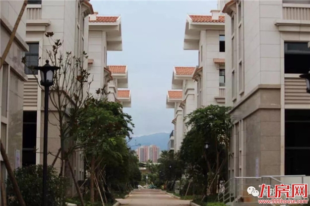 繁花似锦 归家富邦——九房网 繁花似锦 归家富邦——九房网