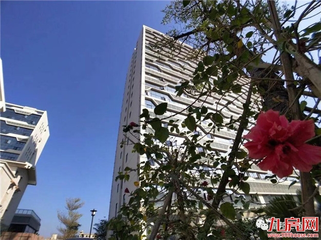 繁花似锦 归家富邦——九房网 繁花似锦 归家富邦——九房网