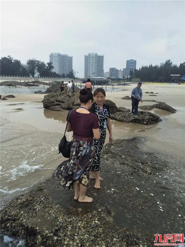 邂逅初夏好时光 ,5月25日看房团圆满收官!——九房网 邂逅初夏好时光 ,5月25日看房团圆满收官!——九房网