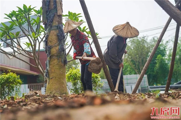 村民休闲新去处，龙文将新增一座公园，地址在......——九房网