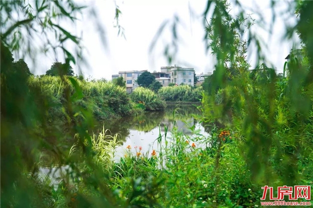 村民休闲新去处，龙文将新增一座公园，地址在......——九房网