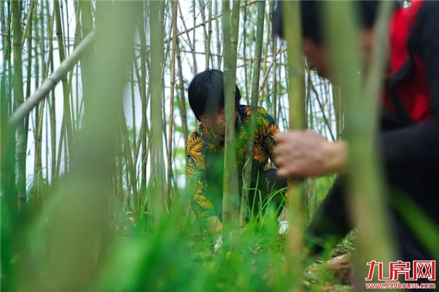 村民休闲新去处，龙文将新增一座公园，地址在......——九房网