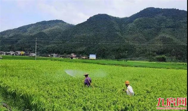 厦门房产,厦门房地产,厦门新房,九房网,厦门房产 厦门房产,厦门房地产,厦门新房,九房网,厦门房产
