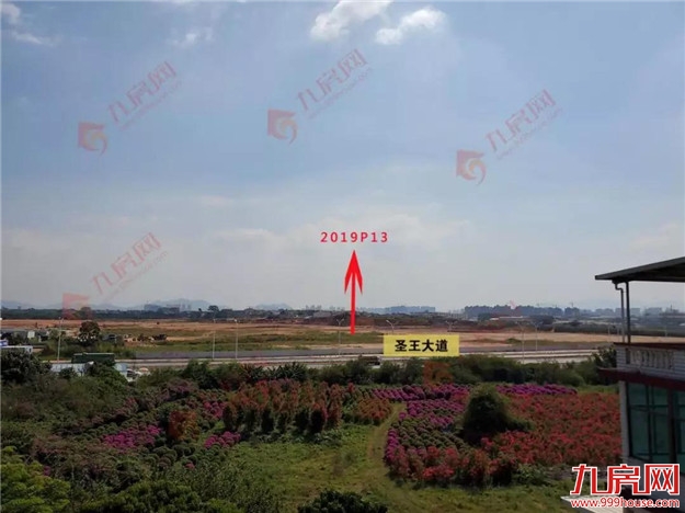 厦门房产,厦门房地产,厦门新房,九房网,厦门房产