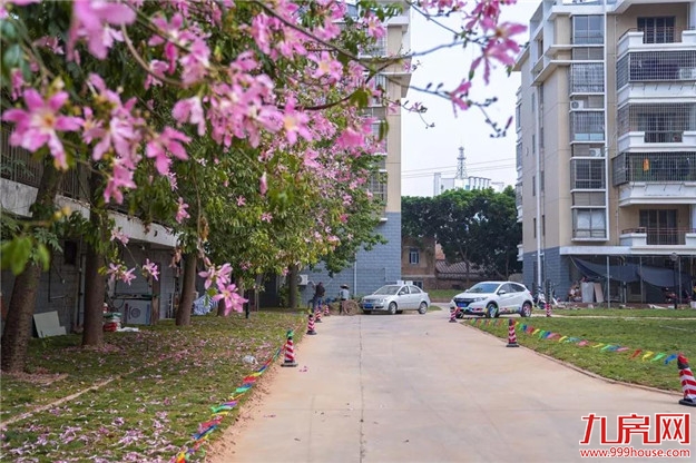 厦门房产,厦门房地产,厦门新房,九房网,厦门房产 厦门房产,厦门房地产,厦门新房,九房网,厦门房产