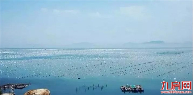 厦门房产,厦门房地产,厦门新房,九房网,厦门房产 厦门房产,厦门房地产,厦门新房,九房网,厦门房产