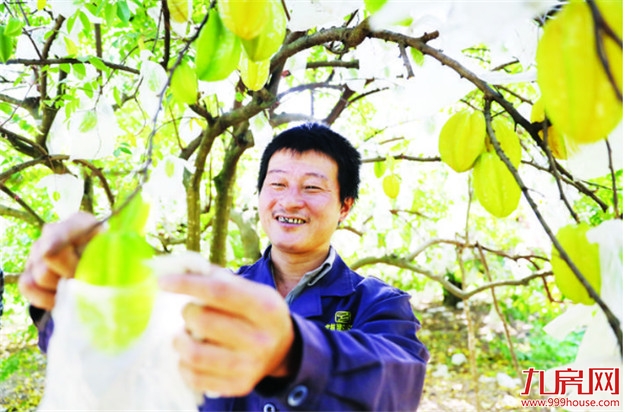 厦门房产,厦门房地产,厦门新房,九房网,厦门房产 厦门房产,厦门房地产,厦门新房,九房网,厦门房产