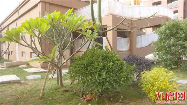 厦门房产,厦门房地产,厦门新房,九房网,厦门房产 厦门房产,厦门房地产,厦门新房,九房网,厦门房产