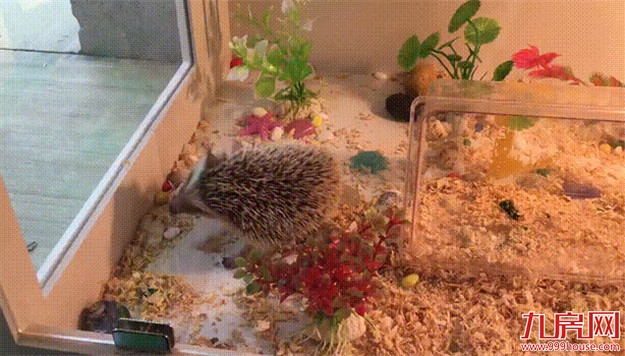 厦门房产,厦门房地产,厦门新房,九房网,厦门房产 厦门房产,厦门房地产,厦门新房,九房网,厦门房产