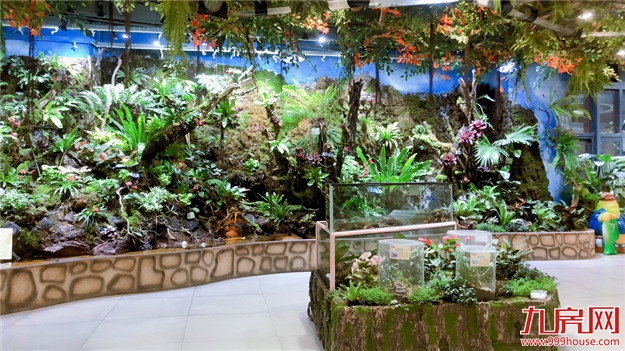 厦门房产,厦门房地产,厦门新房,九房网,厦门房产 厦门房产,厦门房地产,厦门新房,九房网,厦门房产