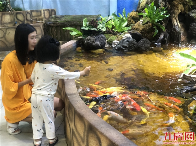 厦门房产,厦门房地产,厦门新房,九房网,厦门房产 厦门房产,厦门房地产,厦门新房,九房网,厦门房产