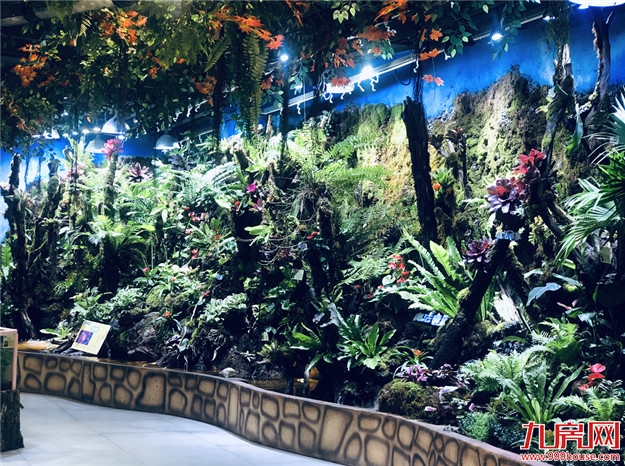 厦门房产,厦门房地产,厦门新房,九房网,厦门房产 厦门房产,厦门房地产,厦门新房,九房网,厦门房产