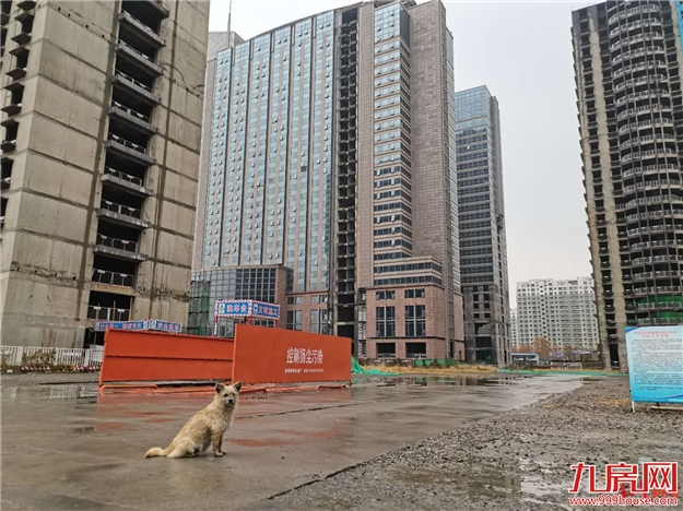 厦门房产,厦门房地产,厦门新房,九房网,厦门房产