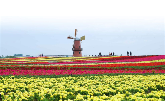 厦门房产,厦门房地产,厦门新房,九房网,厦门房产 厦门房产,厦门房地产,厦门新房,九房网,厦门房产