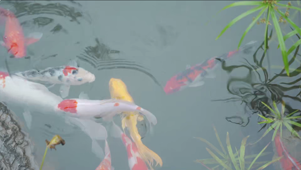 厦门房产,厦门房地产,厦门新房,九房网,厦门房产 厦门房产,厦门房地产,厦门新房,九房网,厦门房产