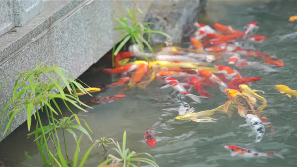 厦门房产,厦门房地产,厦门新房,九房网,厦门房产 厦门房产,厦门房地产,厦门新房,九房网,厦门房产