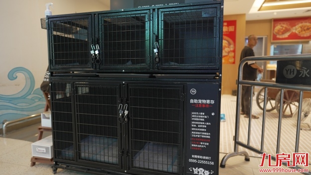 从“菜篮子”到“生活场”:永辉超市泉州浦西万达店调改8月29日亮相——九房网 从“菜篮子”到“生活场”:永辉超市泉州浦西万达店调改8月29日亮相——九房网